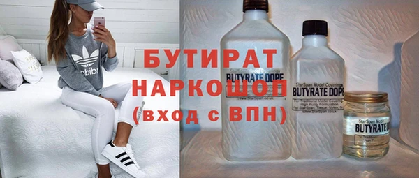 гашик Алексин