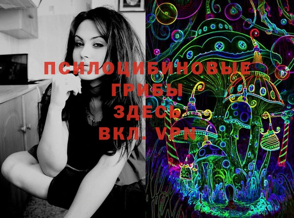 гашик Алексин