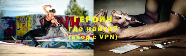 прущие грибы Каменногорск