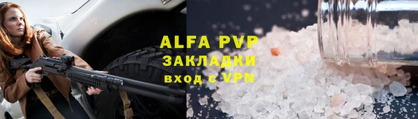 гашик Алексин