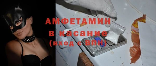 гашик Алексин