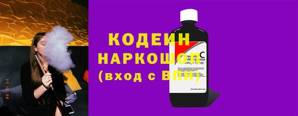 гашик Алексин