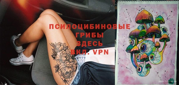 гашик Алексин