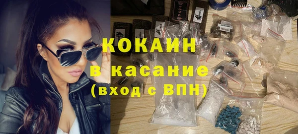 гашик Алексин