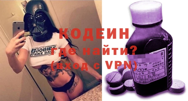 гашик Алексин