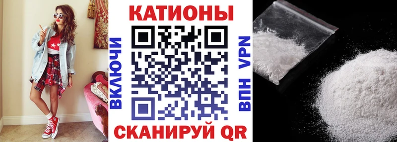 OMG ссылки  Бологое  МЯУ-МЯУ мяу мяу 