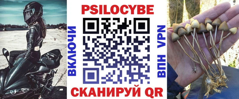 Псилоцибиновые грибы Cubensis  Бологое 